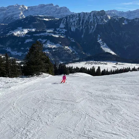 Bed & Breakfast L'epicea Leysin