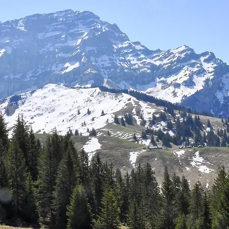 L'epicea Bed & Breakfast Leysin