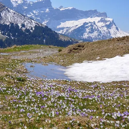Bed & Breakfast L'epicea Leysin
