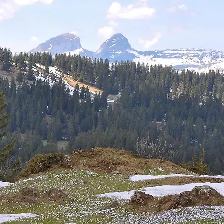 베드 앤 브랙퍼스트 레피세아 B&B