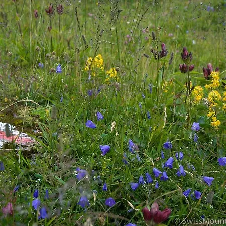 베드 앤 브랙퍼스트 레피세아 3*