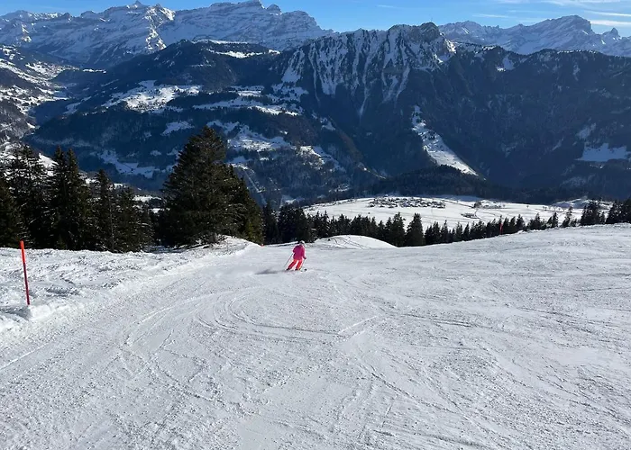 Bed & Breakfast L'epicea Leysin