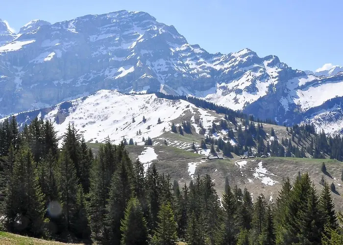 L'epicéa Bed and breakfast Leysin