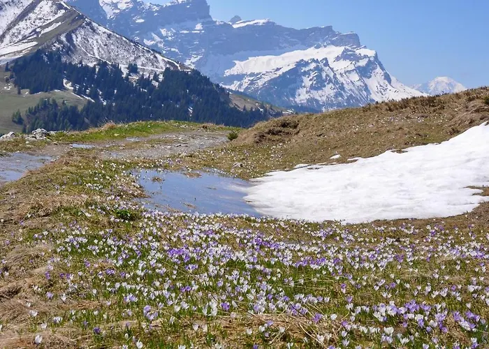 Bed & Breakfast L'epicea Leysin