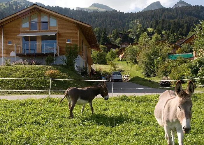 Bed & Breakfast L'epicea 3*