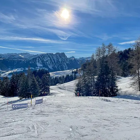 L'epicea Leysin