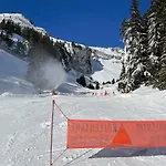 L'epicea