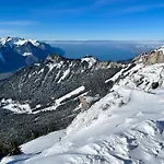 L'epicea
