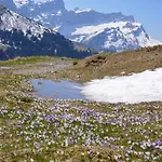 Bed and Breakfast L'epicea Leysin