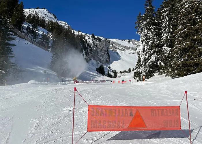 베드 앤 브랙퍼스트 레피세아