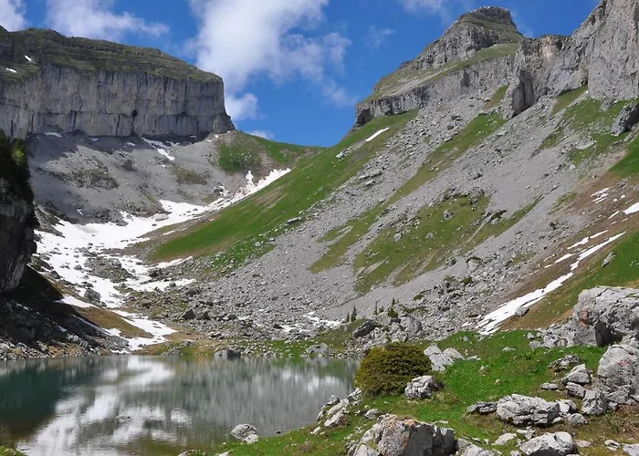 B&B 베드 앤 브랙퍼스트 레피세아 3*