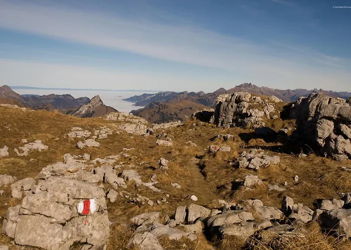 베드 앤 브랙퍼스트 레피세아 B&B 3*