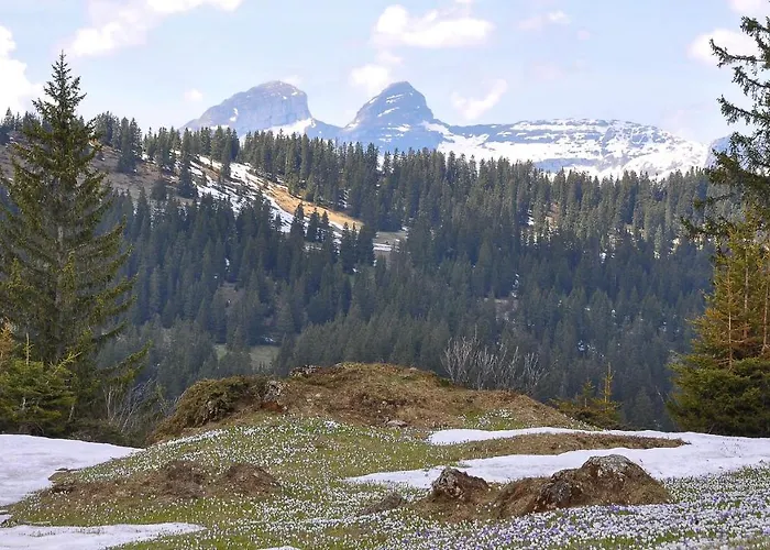 베드 앤 브랙퍼스트 레피세아 B&B