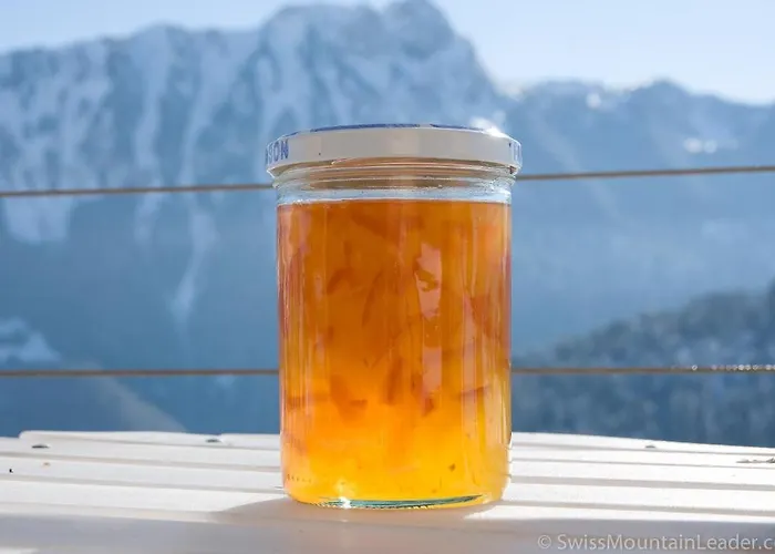 베드 앤 브랙퍼스트 레피세아 B&B